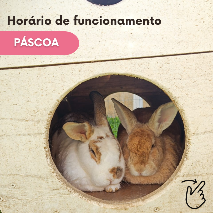 Páscoa