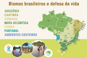 cartaz biomas do brasil