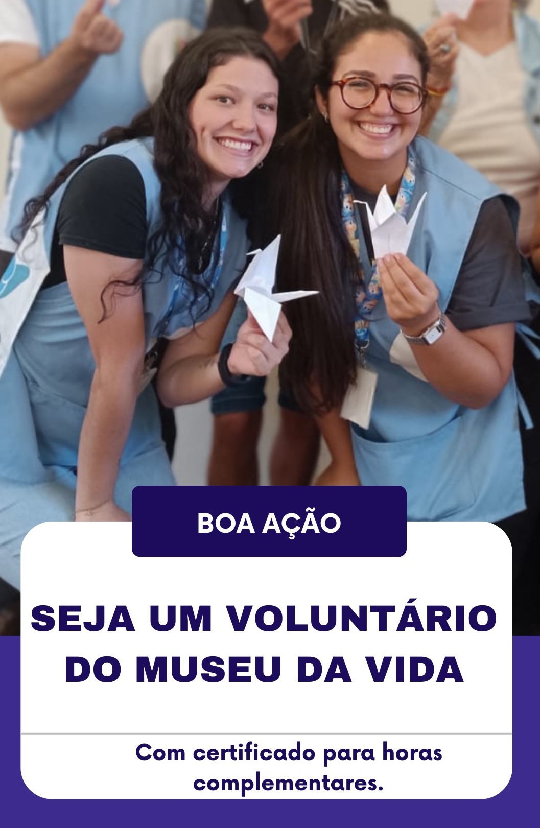 voluntarios site