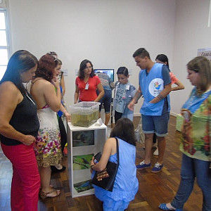 2016_03_19___professores_cmei_santa_felicidade_23_20160322_1497645114 380 800 600 80 rd 255 255 255