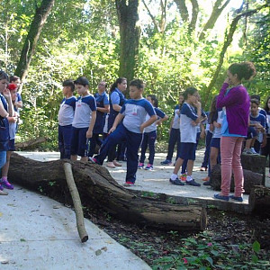 15/04/2016 - Visita escola literal