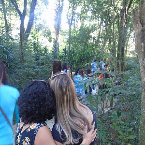 2016_04_16___professores_de_cmeis_de_curitiba_visitam_museu_da_vida_13_20160418_2066894744 756 800 600 80 rd 255 255 255