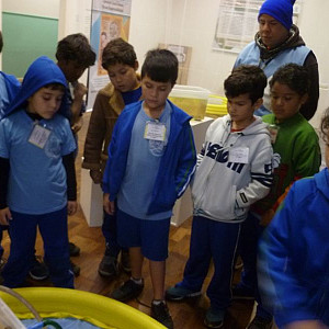 2016_05_12_escola_municipal_elza_lerner_18_20160530_1982210336 914 800 600 80 rd 255 255 255
