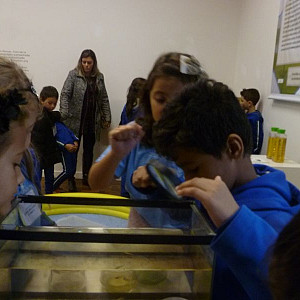 2016_05_12_escola_municipal_elza_lerner_3_20160530_1493043033 899 800 600 80 rd 255 255 255