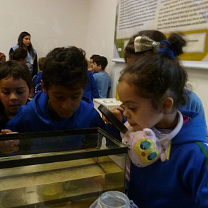 2016_05_12_escola_municipal_elza_lerner_4_20160530_1378780663 900 800 600 80 rd 255 255 255