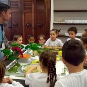 2016_06_17_centro_de_educacao_infantil_pequeno_urso_2_20160618_1421933274 1106 800 600 80 rd 255 255 255