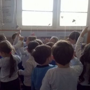 2016_06_17_centro_de_educacao_infantil_pequeno_urso_5_20160618_1301808339 1109 800 600 80 rd 255 255 255