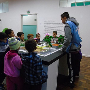 2016_06_20_centro_de_educacao_infantil_ana_de_cassia_76_20160620_1497582312 1408 800 600 80 rd 255 255 255