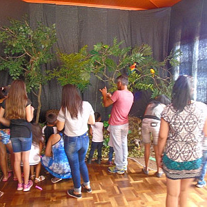 2017_03_01_inauguracao_exposicao_biomas_do_brasil_e_a_defesa_da_vida_10_20170302_1979747496 2247 800 600 80 rd 255 255 255