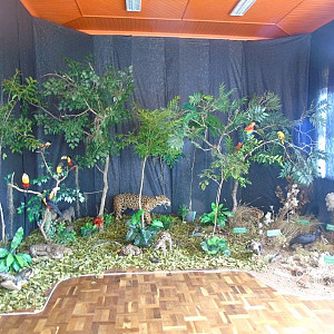 2017_03_01_inauguracao_exposicao_biomas_do_brasil_e_a_defesa_da_vida_11_20170302_1206360031 2248 800 600 80 rd 255 255 255