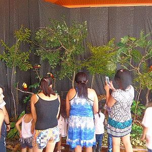 2017_03_01_inauguracao_exposicao_biomas_do_brasil_e_a_defesa_da_vida_11_20170302_1466947438 2250 800 600 80 rd 255 255 255