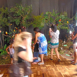 2017_03_01_inauguracao_exposicao_biomas_do_brasil_e_a_defesa_da_vida_12_20170302_1288931722 2251 800 600 80 rd 255 255 255