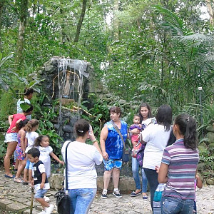 2017_03_01_inauguracao_exposicao_biomas_do_brasil_e_a_defesa_da_vida_26_20170302_1544886672 2281 800 600 80 rd 255 255 255