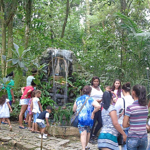 2017_03_01_inauguracao_exposicao_biomas_do_brasil_e_a_defesa_da_vida_27_20170302_1544613698 2284 800 600 80 rd 255 255 255