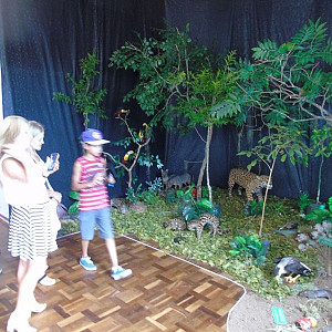 2017_03_01_inauguracao_exposicao_biomas_do_brasil_e_a_defesa_da_vida_2_20170302_1132944651 2221 800 600 80 rd 255 255 255