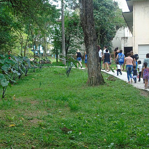 2017_03_01_inauguracao_exposicao_biomas_do_brasil_e_a_defesa_da_vida_30_20170302_1721535934 2290 800 600 80 rd 255 255 255