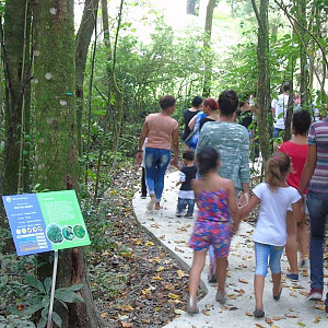 2017_03_01_inauguracao_exposicao_biomas_do_brasil_e_a_defesa_da_vida_32_20170302_1469244767 2293 800 600 80 rd 255 255 255