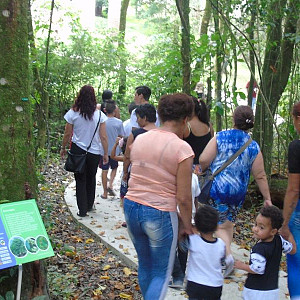 2017_03_01_inauguracao_exposicao_biomas_do_brasil_e_a_defesa_da_vida_33_20170302_1775541810 2295 800 600 80 rd 255 255 255