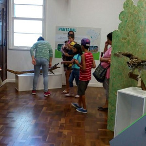 2017_03_01_inauguracao_exposicao_biomas_do_brasil_e_a_defesa_da_vida_35_20170302_1972676082 2300 800 600 80 rd 255 255 255