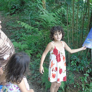 2017_03_01_inauguracao_exposicao_biomas_do_brasil_e_a_defesa_da_vida_36_20170302_1195662223 2301 800 600 80 rd 255 255 255