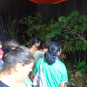 2017_03_01_inauguracao_exposicao_biomas_do_brasil_e_a_defesa_da_vida_5_20170302_1552777650 2230 800 600 80 rd 255 255 255