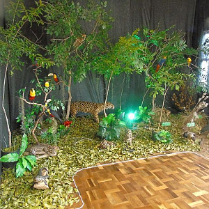2017_03_01_inauguracao_exposicao_biomas_do_brasil_e_a_defesa_da_vida_5_20170302_1921776165 2231 800 600 80 rd 255 255 255