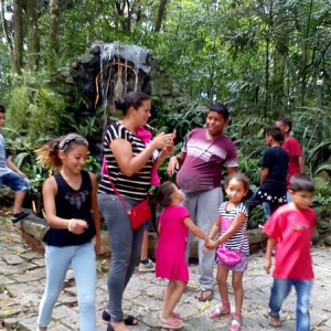 2017_03_01_inauguracao_exposicao_biomas_do_brasil_e_a_defesa_da_vida_66_20170302_1231769686 2334 800 600 80 rd 255 255 255