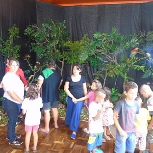 2017_03_01_inauguracao_exposicao_biomas_do_brasil_e_a_defesa_da_vida_6_20170302_2000562790 2235 800 600 80 rd 255 255 255