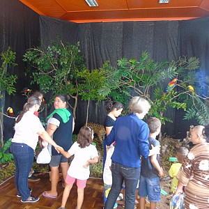2017_03_01_inauguracao_exposicao_biomas_do_brasil_e_a_defesa_da_vida_7_20170302_1103569130 2237 800 600 80 rd 255 255 255