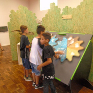2017_03_01_inauguracao_exposicao_biomas_do_brasil_e_a_defesa_da_vida_7_20170302_1189245243 2238 800 600 80 rd 255 255 255