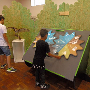 2017_03_01_inauguracao_exposicao_biomas_do_brasil_e_a_defesa_da_vida_9_20170302_1095751517 2242 800 600 80 rd 255 255 255