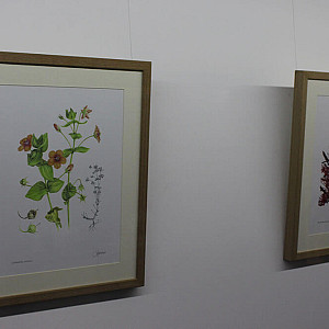 Galeria_Arte Botanica_2024_31