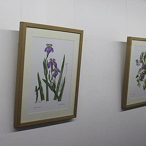 Galeria_Arte Botanica_2024_32