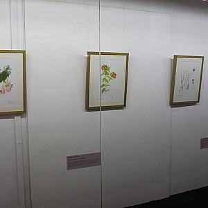 Galeria_Arte Botanica_2024_35