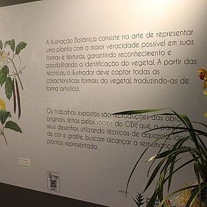 Galeria_Arte Botanica_2024_44