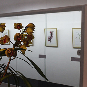 Galeria_Arte Botanica_2024_45