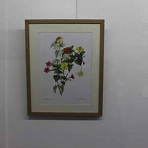 Galeria_Arte Botanica_2024_48