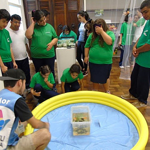 Escola_primavera_21_20160316_1175375985 244 800 600 80 rd 255 255 255